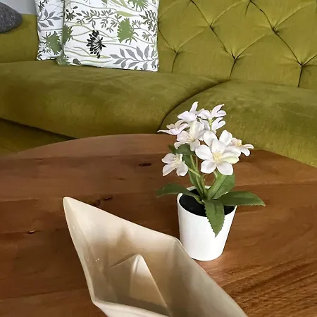 #4 Ommi Kese Pirat Sauna Balkon Seeblick Olpe bei Meschede