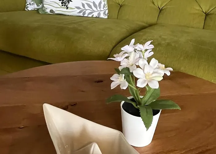 #4 Ommi Kese Pirat Sauna Balkon Seeblick Olpe bei Meschede